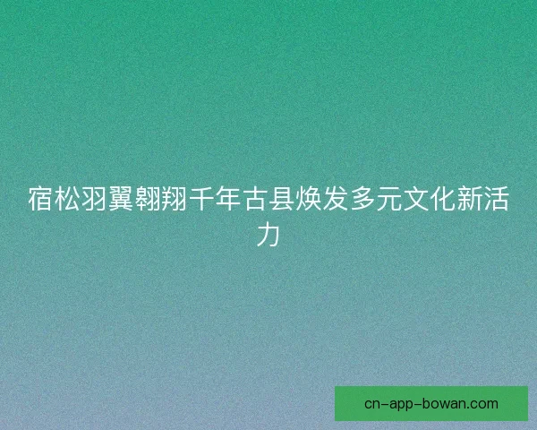宿松羽翼翱翔千年古县焕发多元文化新活力