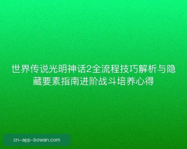 世界传说光明神话2全流程技巧解析与隐藏要素指南进阶战斗培养心得