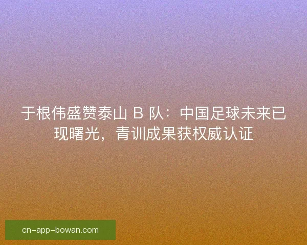 于根伟盛赞泰山 B 队：中国足球未来已现曙光，青训成果获权威认证